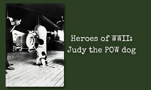 Heroes of WWII: Judy the POW dog