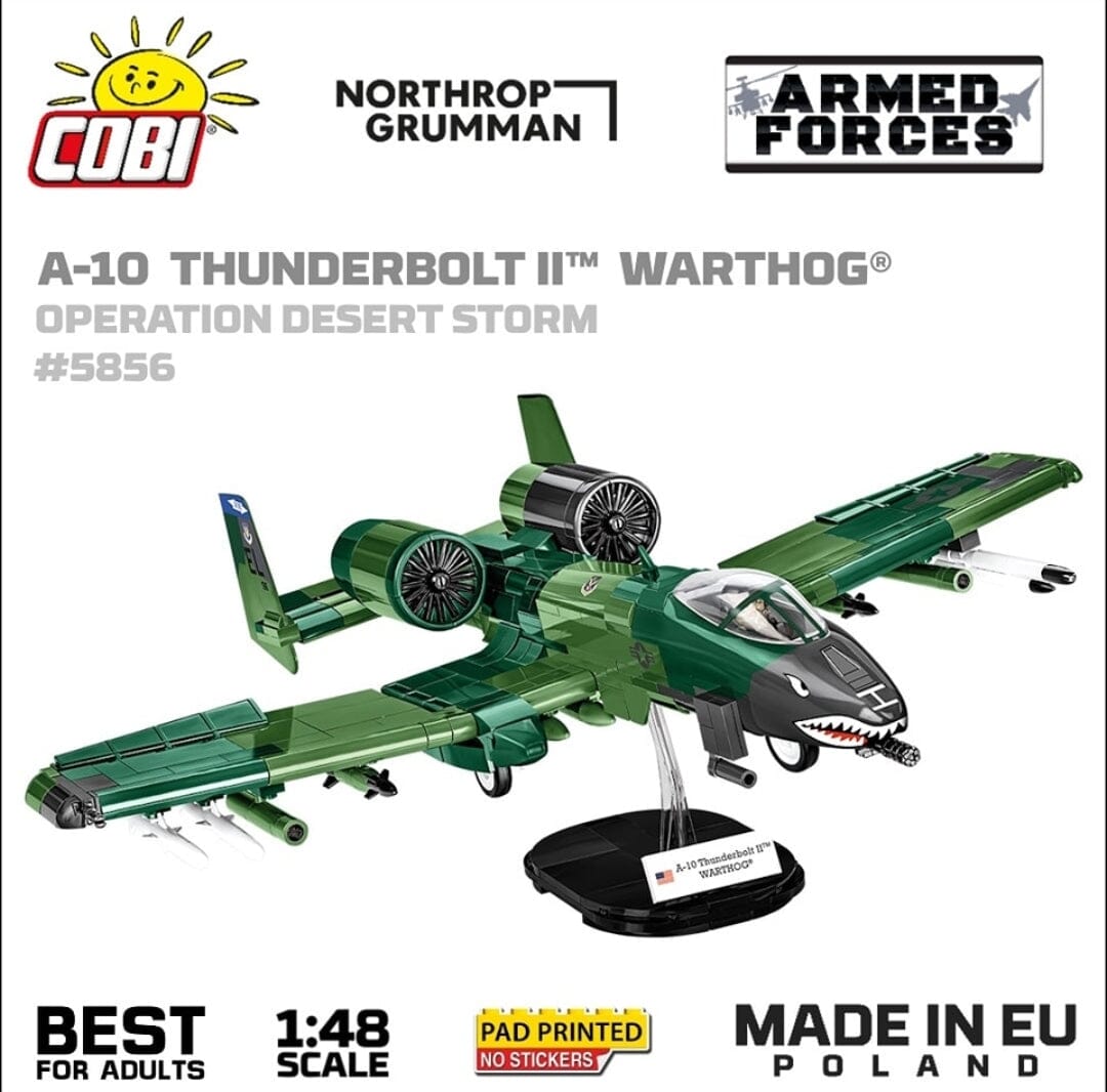 A10 model plane online